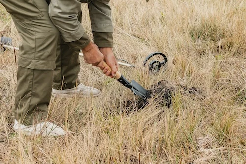 metal detecting 42