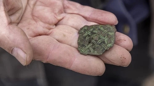 metal detecting 6
