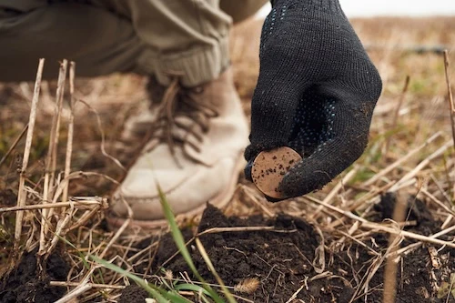 metal detecting 79